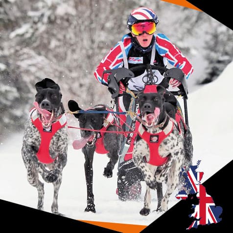 Vickie Pullin DOG StreamZ Endorsement I am always looking to support my dog’s using non invasive and natural methods and when I came across StreamZ was keen to see for myself. I only support products I believe in and StreamZ is one of them