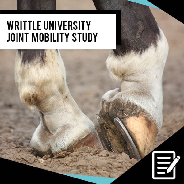 EQU StreamZ Joint Mobility Study Results In conclusion, it was possible to demonstrate a correlation between the use of the EQU StreamZ fetlock bands and improved tarsal joint mobility