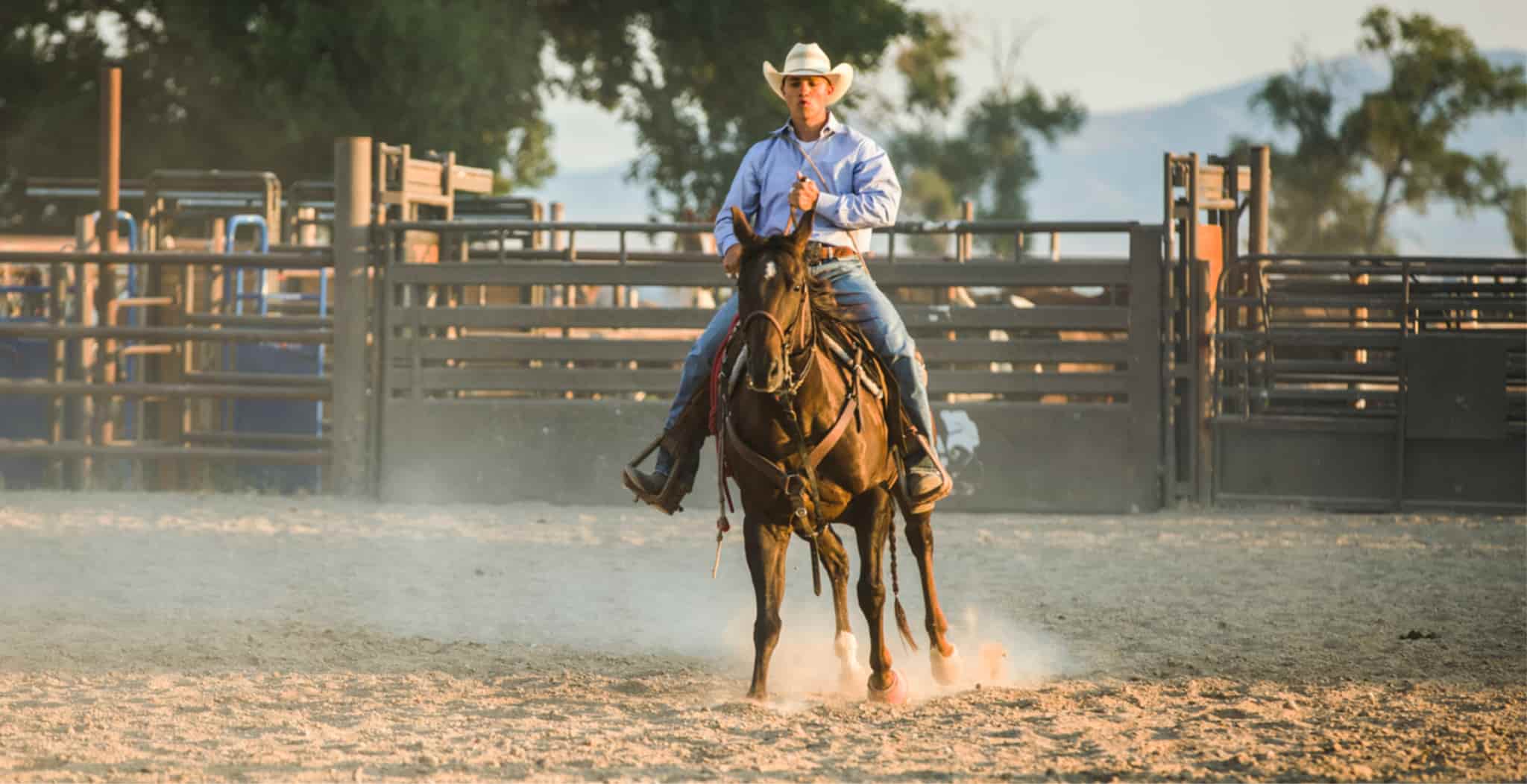 Campdrafting is an equine discipline requiring highly skilled horsemanship. EQU Streamz blog article main image.