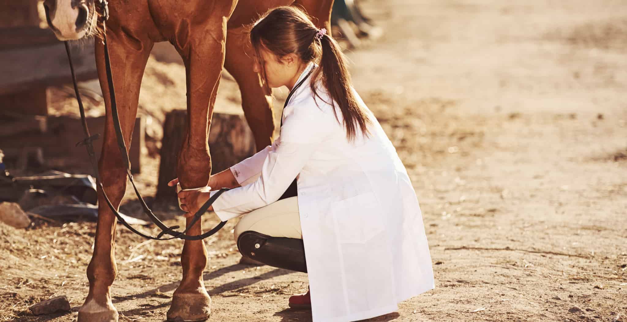 Diagnosing & Treating Splints Injuries In Horses focussing on the treatment of splint injuries in horses with EQU StreamZ.