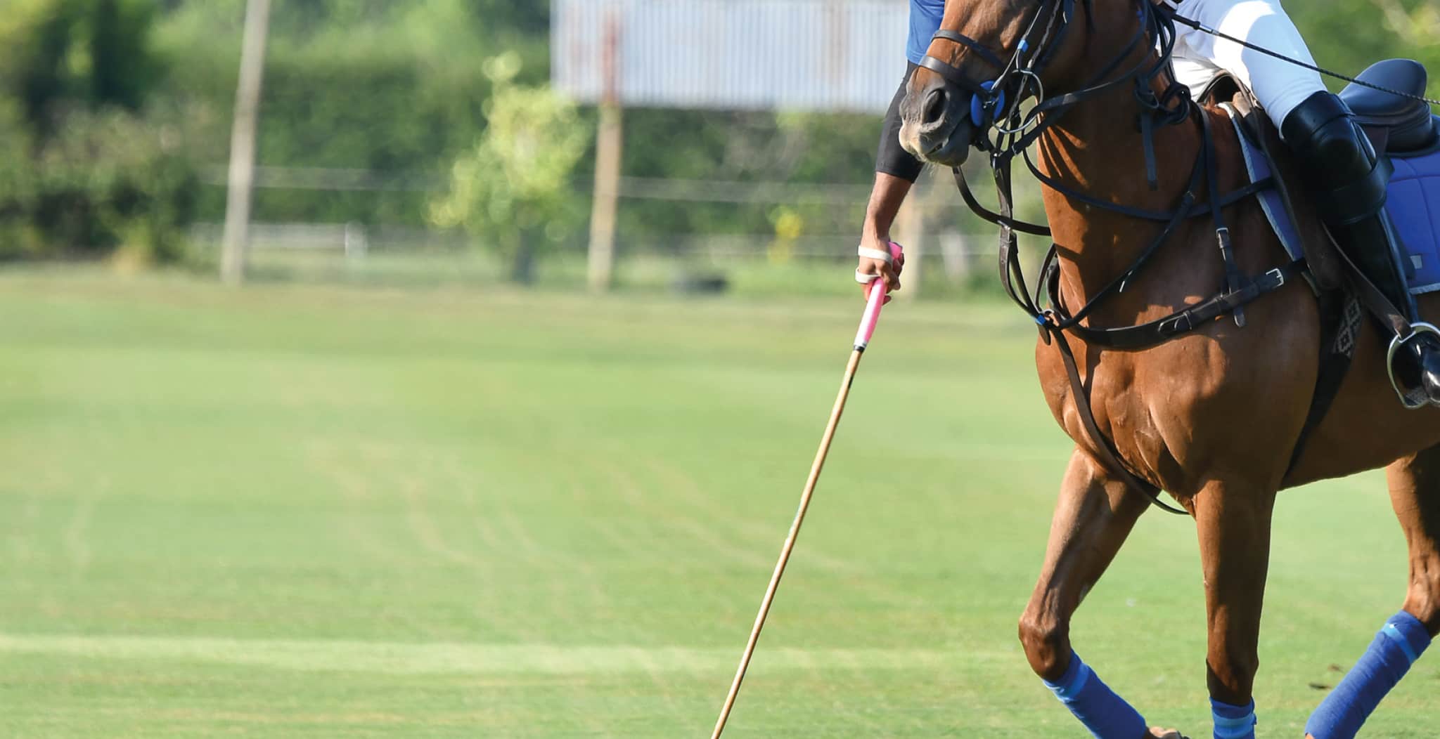 EQU Streamz bio resonance horse bands are used in polo. This is an article with an introduction to polo.