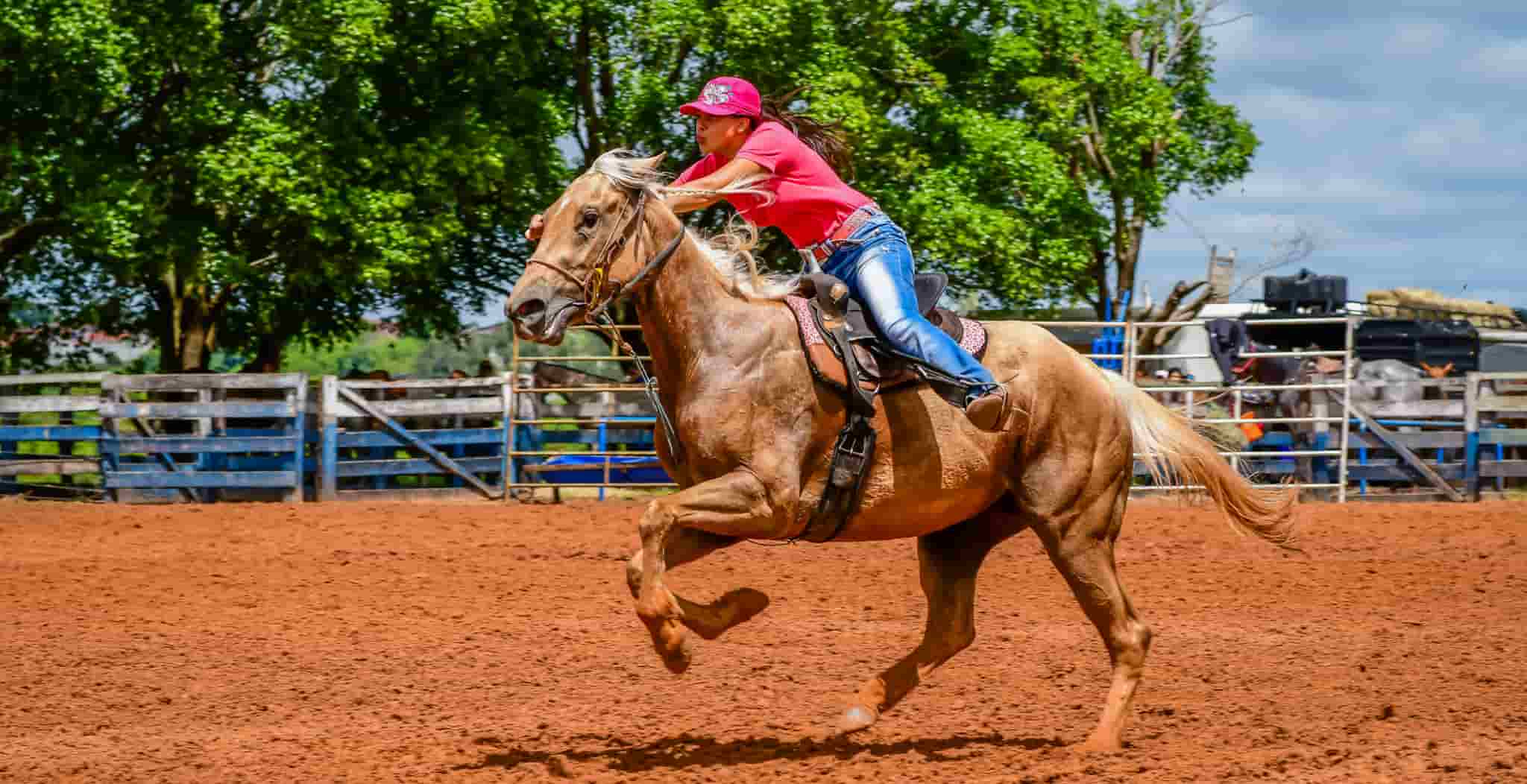 Pole Bending discipline, injuries and treatments for the discipline. EQU Streamz blog image of rider.