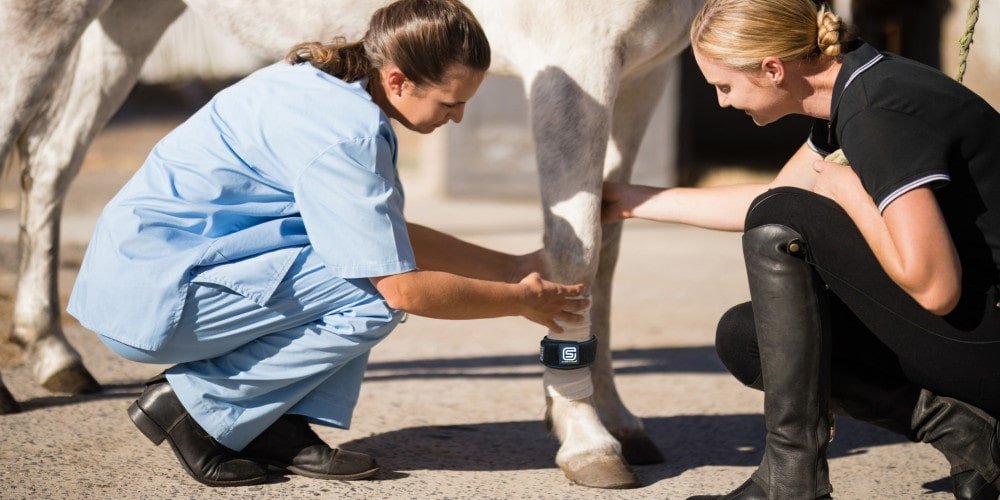 EQU Streamz horse bands can be taped or bandaged to prolong their lifespan and stop allergic reactions