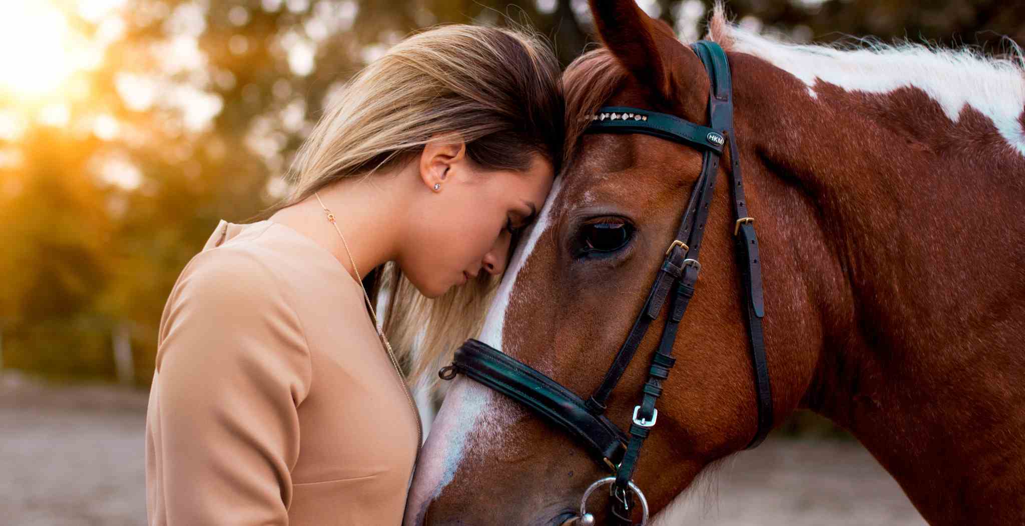 Perfecting performances in horses. Image of women caring for horse.