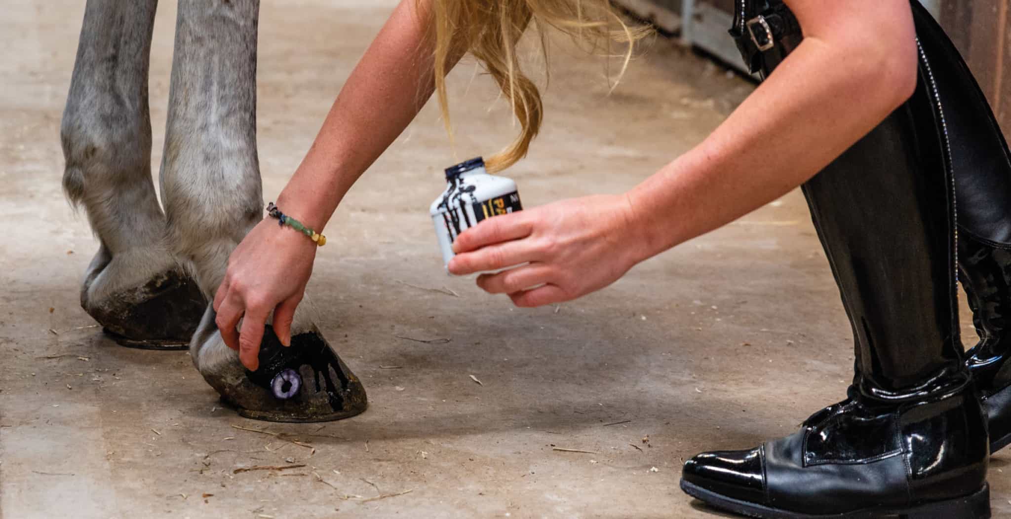 Commonly Found Hoof Problems. Horses prevention treatment for hooves.