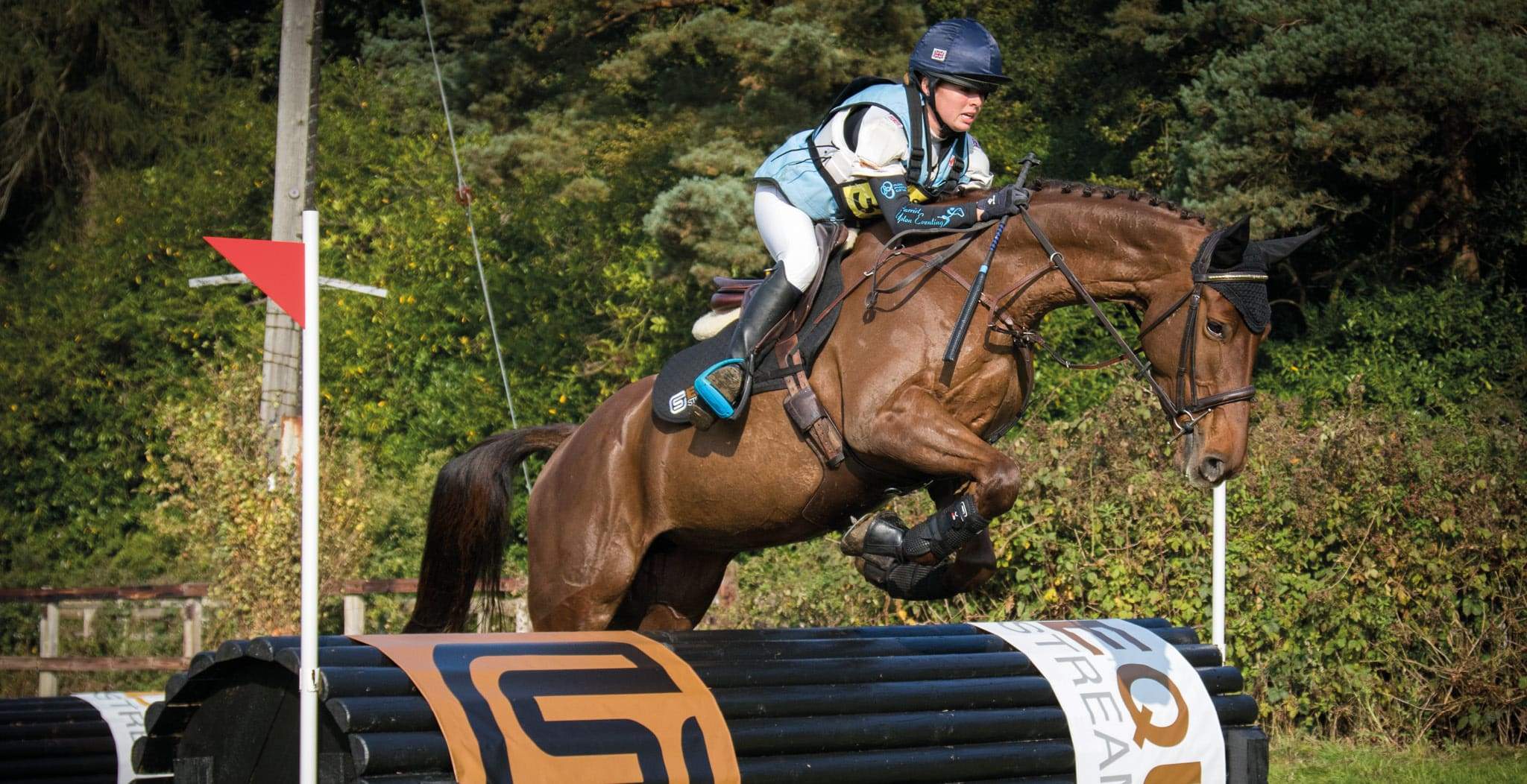 3-Day Eventing | Common Injuries & Treatments
