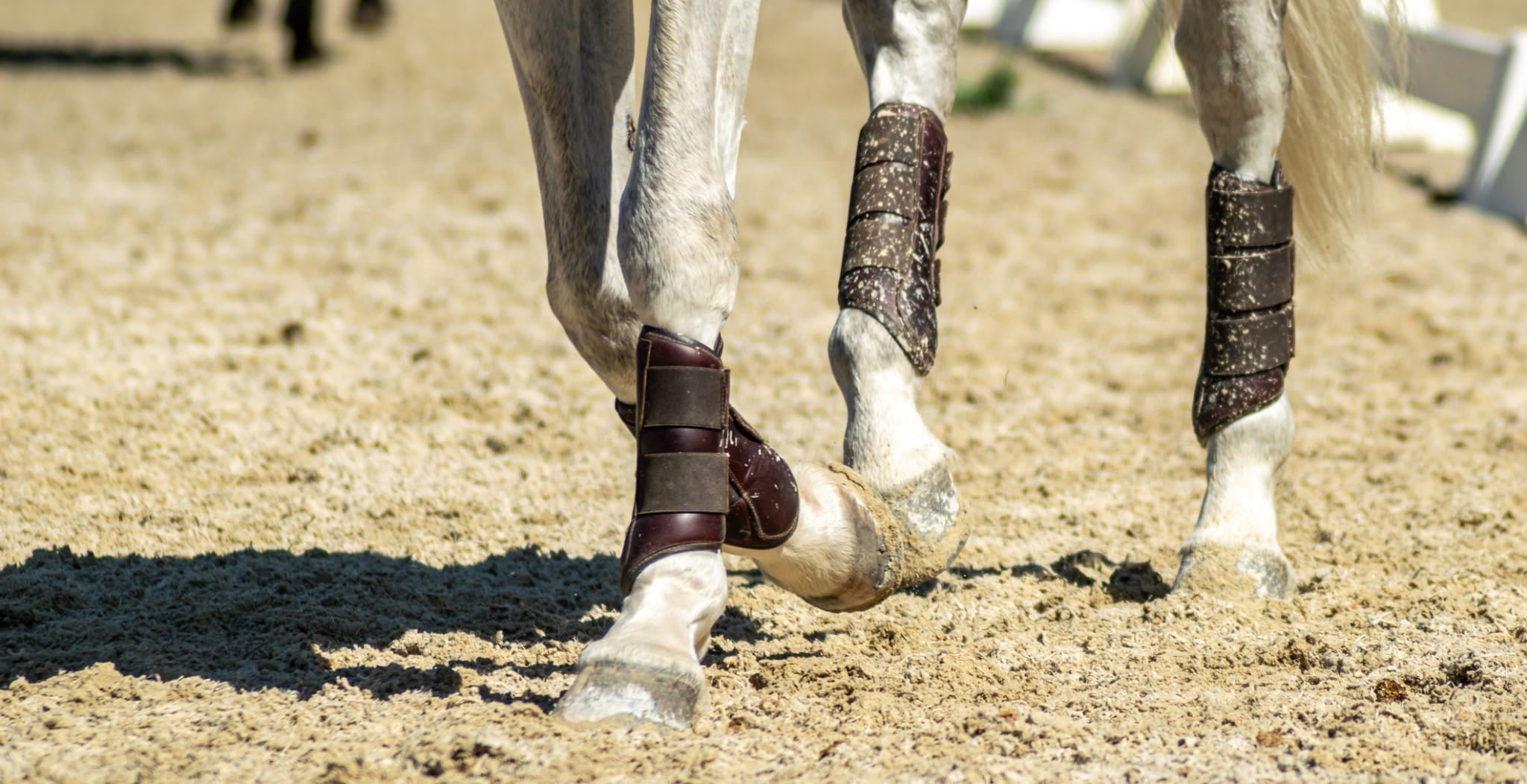 The Ultimate Guide to Horse Boots: Magnetic vs Cooling Technology - StreamZ Global