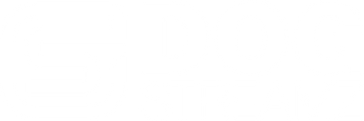 DOG StreamZ Advanced Magnetic Dog Collar Logo for DOG Streamz main product page shown above image of Riggen the dog wearing his orange dog streamz collar