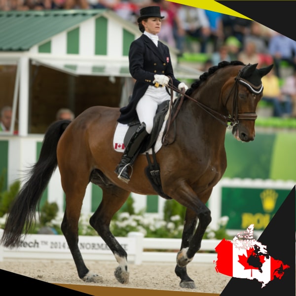 Belinda Trussell Canadian Dressage legend endorses EQU Streamz magnetic horse bands