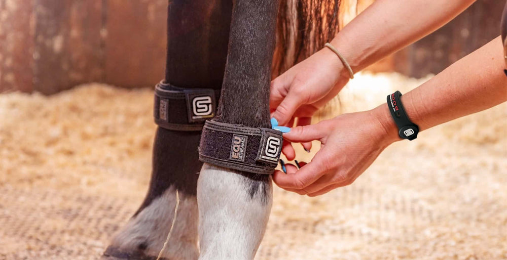 EQU Streamz replacement sleeves (pair_ product to prolong life of streamz magnetic horse bands