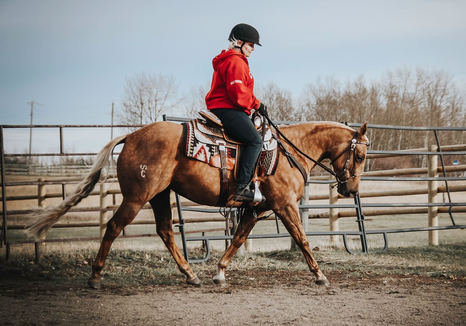 Julie Moorcroft EQU StreamZ ambassador world champion western dressage endorses streamz equ streamz bands