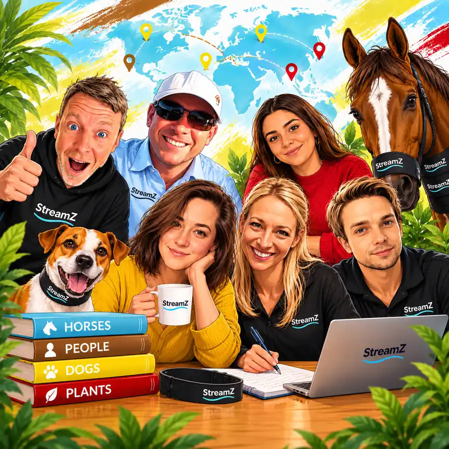 About us image, team from StreamZ